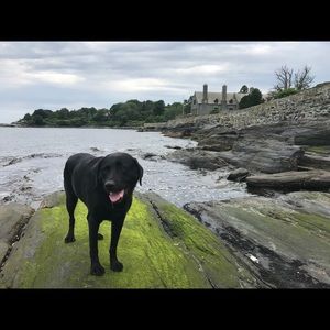 Meet your Posher, Kate